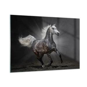 Impression sur verre - Image sur verre - Un cheval au galop sur un fond sombre avec un effet d'éclairage. - 100x70cm - Le gris est beau - Décoration murale moderne pour le salon et la chambre ARTTOR