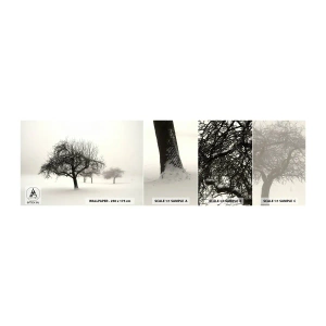 Échantillon de Papier Peint Autocollant Deluxe Sticker - Un rêve hivernal - Graphique, Arbre, Nature - 100x30 cm