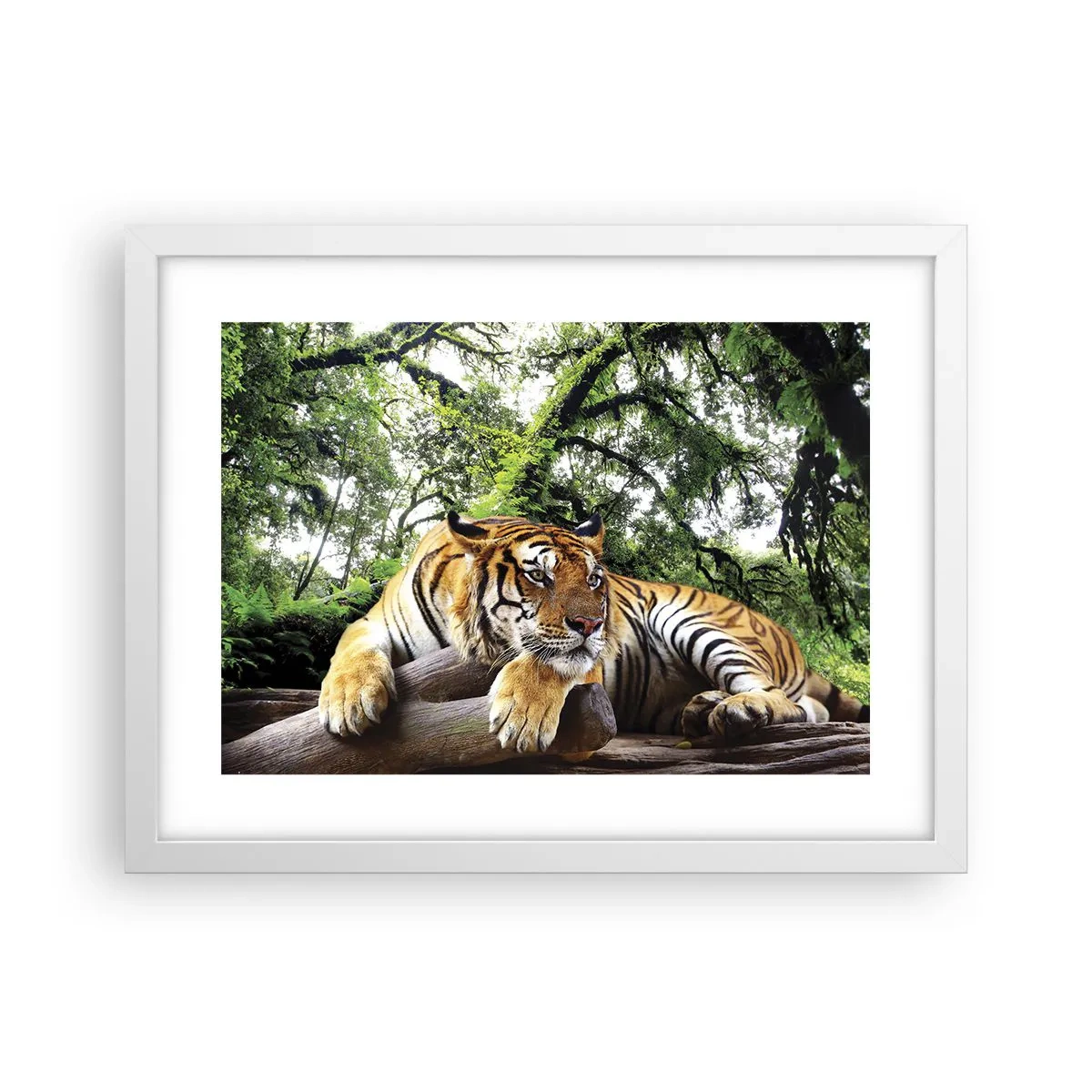 Affiche dans un cadre blanc - Poster - Cordialement - 40x30 cm