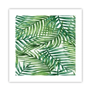 Affiche - Poster - Sous la canopée verte - 40x40 cm