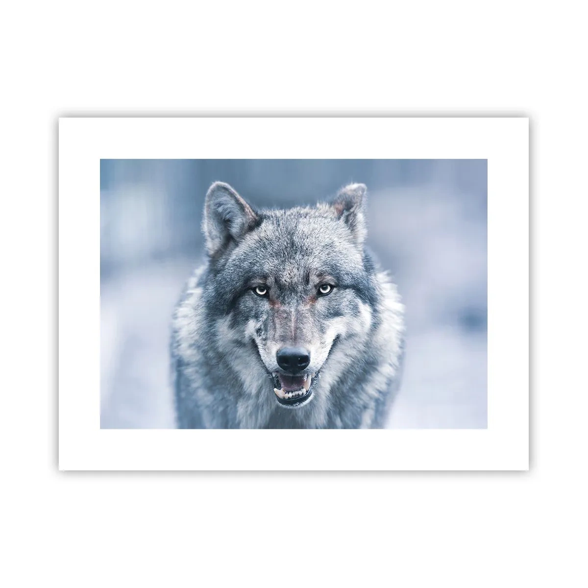 Affiche - Poster - Relèverez-vous le défi ? - 40x30 cm