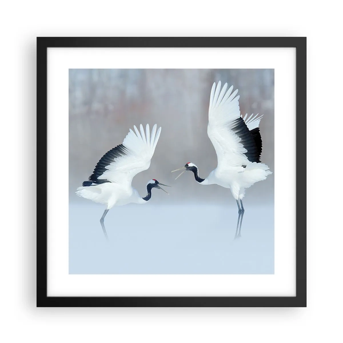 Affiche dans un cadre noir - Poster - Danse dans le brouillard - 40x40 cm