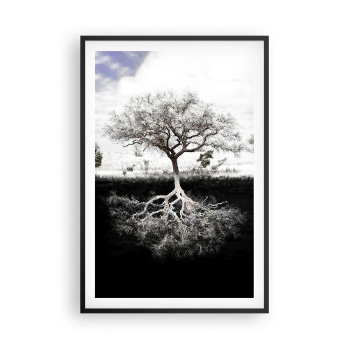 Affiche dans un cadre noir - Poster - Découvrir la nature du monde - 61x91 cm