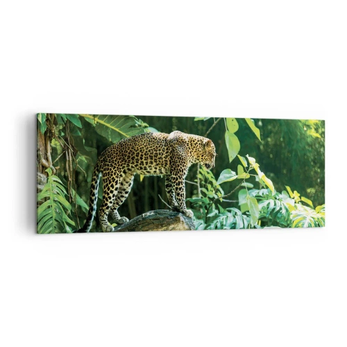Impression sur toile - Image sur toile - Un léopard debout sur un rocher entouré de végétation tropicale - 140x50cm - À la chasse? - Décoration murale moderne pour le salon et la chambre ARTTOR