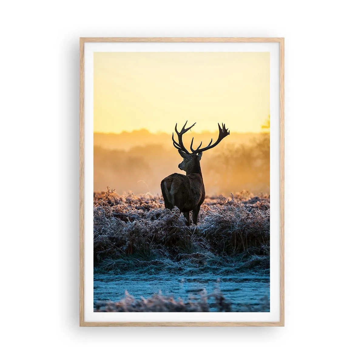 Affiche dans un chêne clair - Poster - Couronné pour sa succession - 70x100 cm