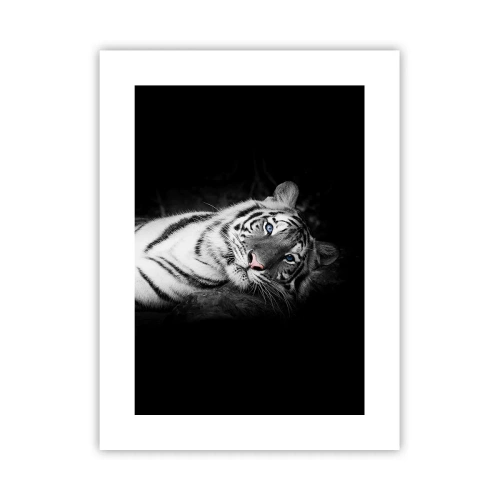 Affiche - Poster - Sauvagerie et paix - 30x40 cm