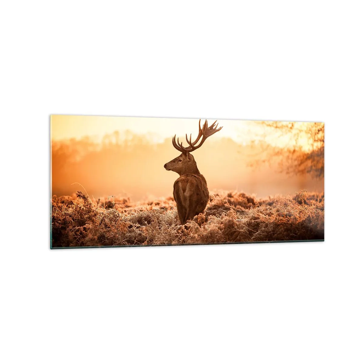 Impression sur verre - Image sur verre - Cerf dans les rayons du soleil levant - 120x50cm - Seigneur du domaine - Décoration murale moderne pour le salon et la chambre ARTTOR