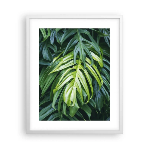 Affiche dans un cadre blanc - Poster - Immergez-vous dans la fraîcheur - 40x50 cm