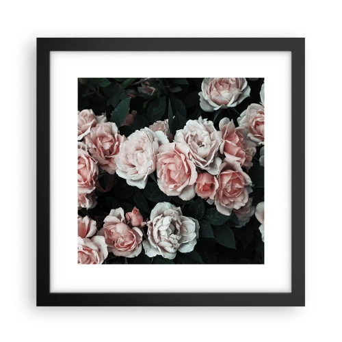 Affiche dans un cadre noir - Poster - Ensemble de rose - 30x30 cm