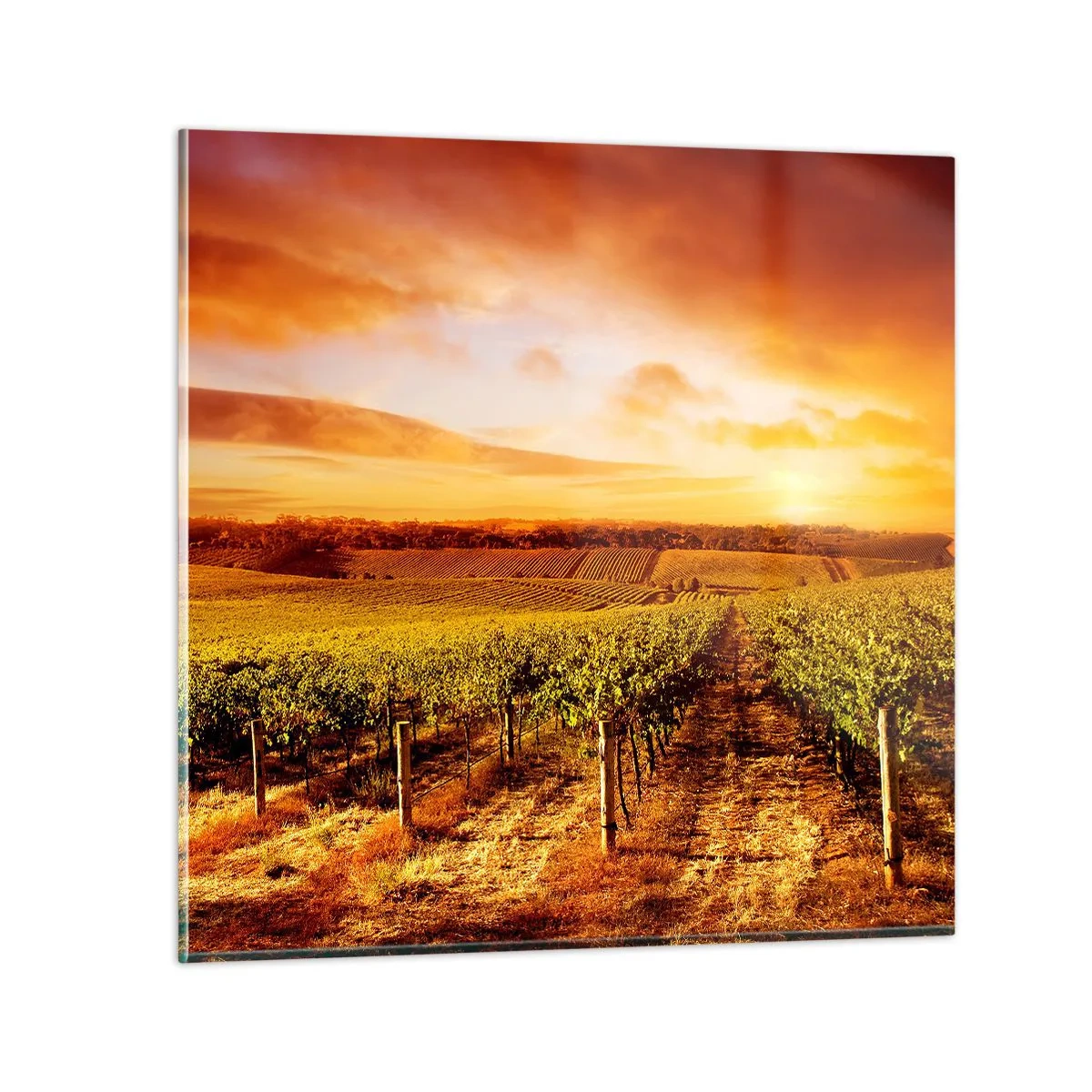 Impression sur verre - Image sur verre - Légèrement fruité avec une pointe de soleil - 40x40 cm