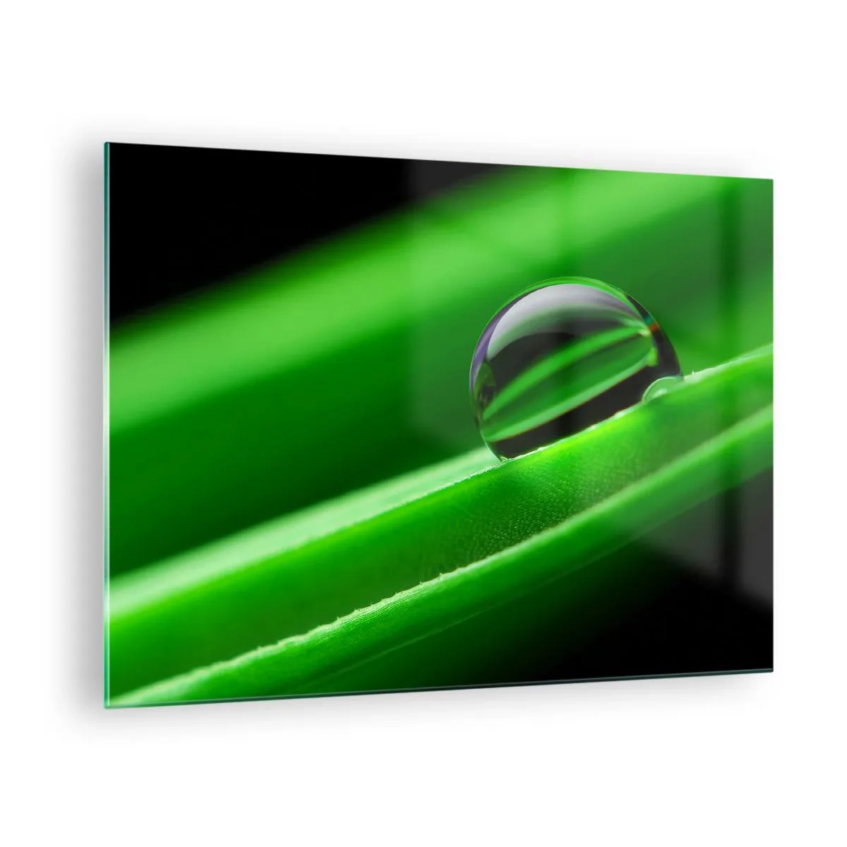 Impression sur verre - Image sur verre - Une goutte de rosée sur une feuille verte - 70x50cm - La vie de près - Décoration murale moderne pour le salon et la chambre ARTTOR