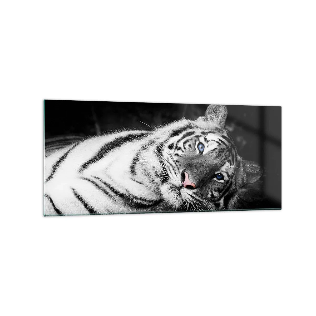 Impression sur verre - Image sur verre - Un tigre blanc rendu artistiquement sur un fond noir - 120x50cm - Sauvagerie et paix - Décoration murale moderne pour le salon et la chambre ARTTOR