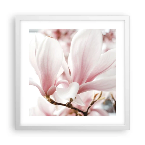 Affiche dans un cadre blanc - Poster - Abondance de tendresse - 40x40 cm