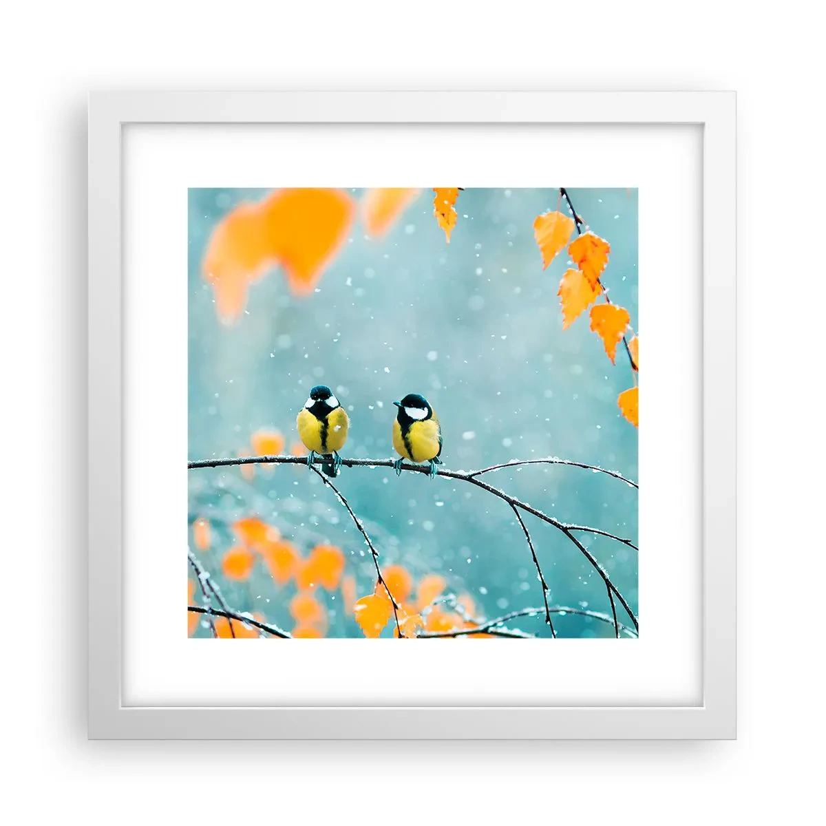 Affiche dans un cadre blanc - Poster - Potins d'oiseaux - 30x30 cm