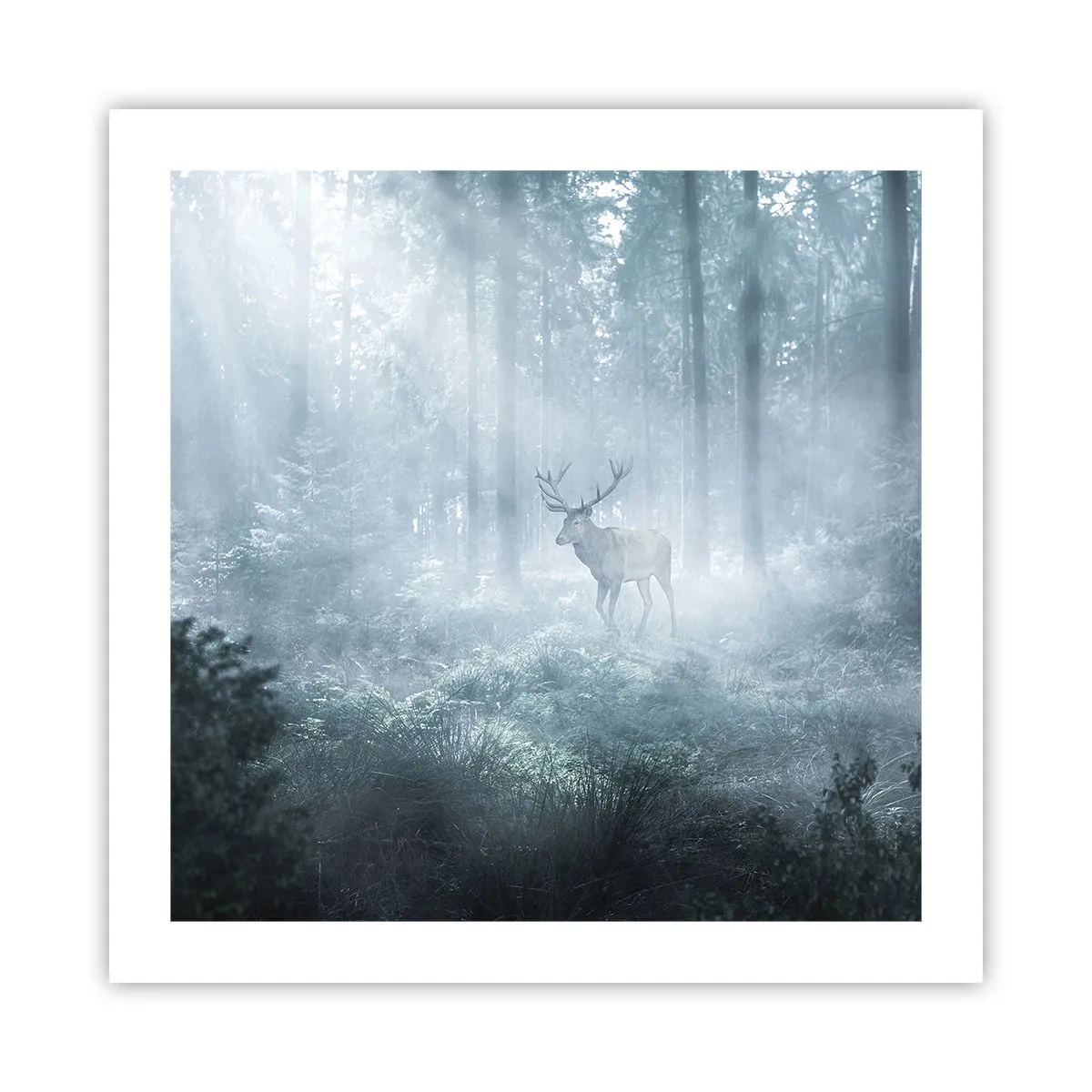 Affiche - Poster - Visite matinale du domaine - 50x50 cm