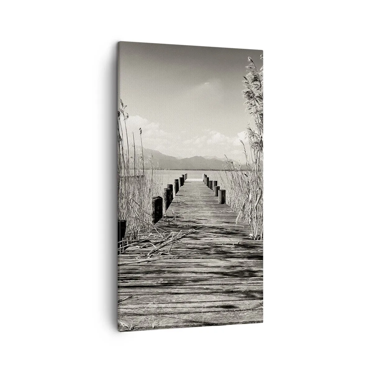 Impression sur toile - Image sur toile - Dans le calme de l'herbe - 45x80 cm