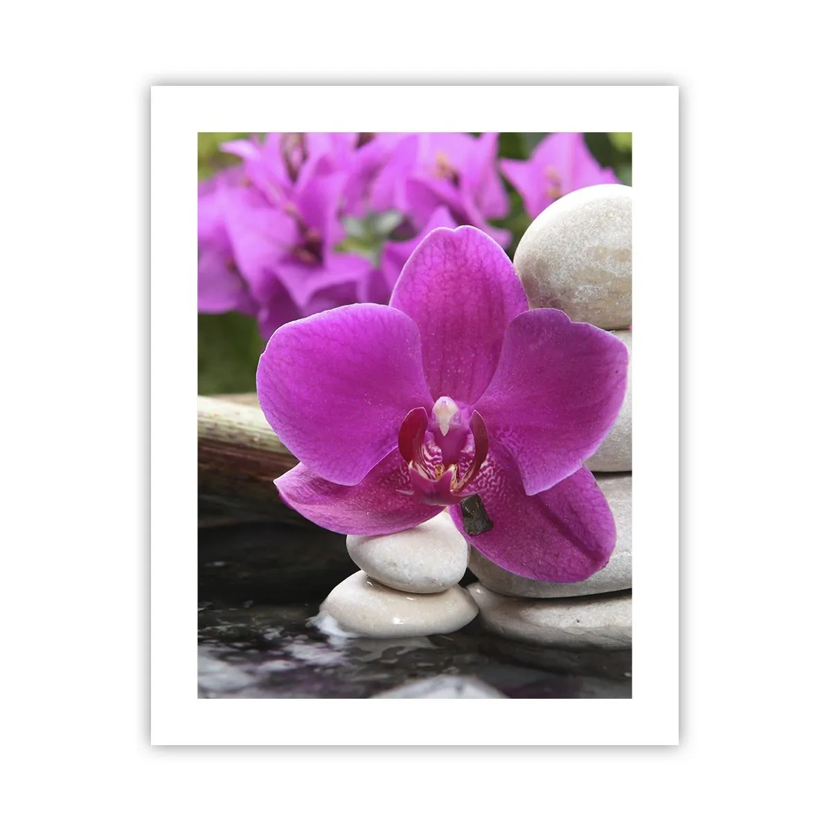 Affiche - Poster - Tu te reposes déjà - 40x50 cm