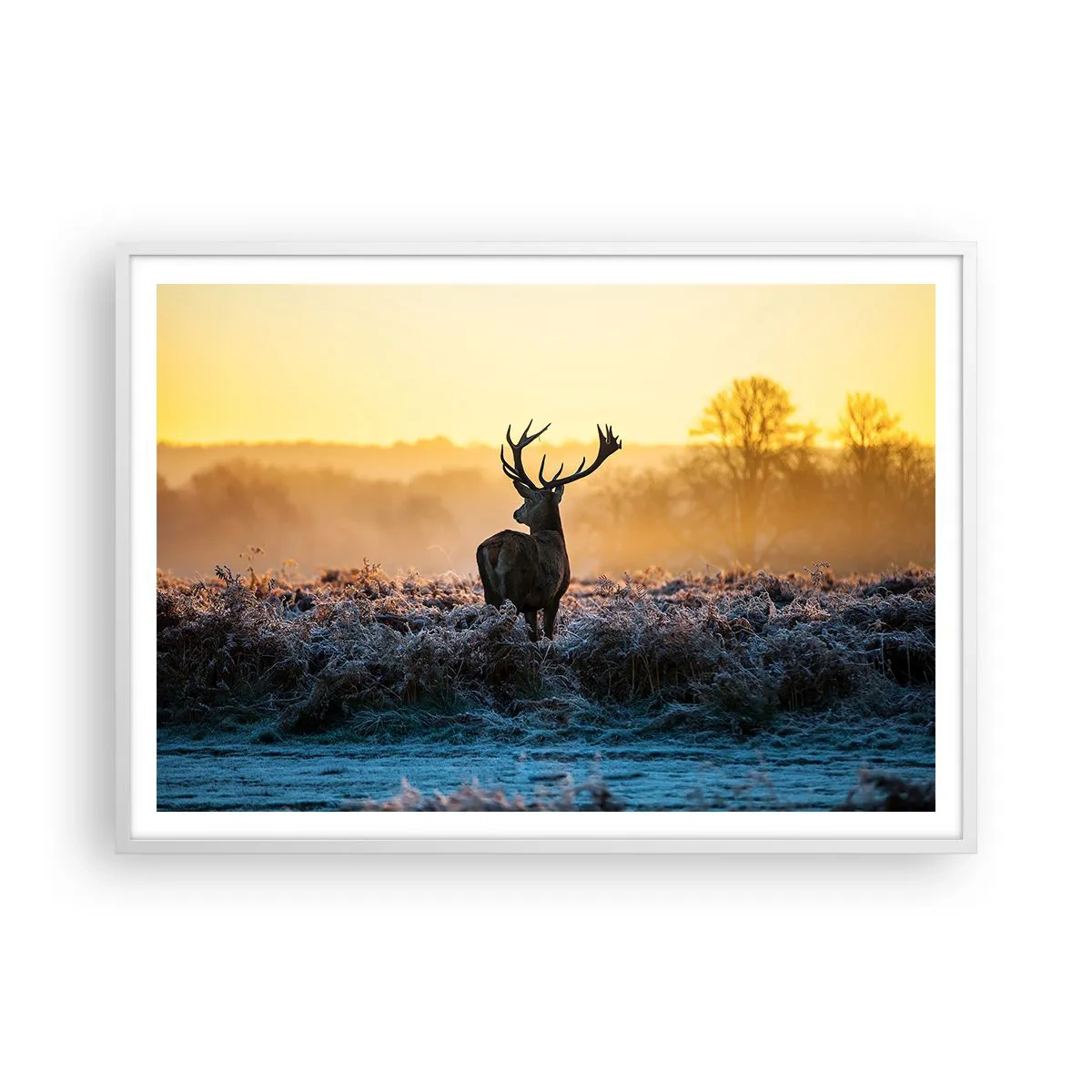 Affiche dans un cadre blanc - Poster - Couronné pour sa succession - 100x70 cm