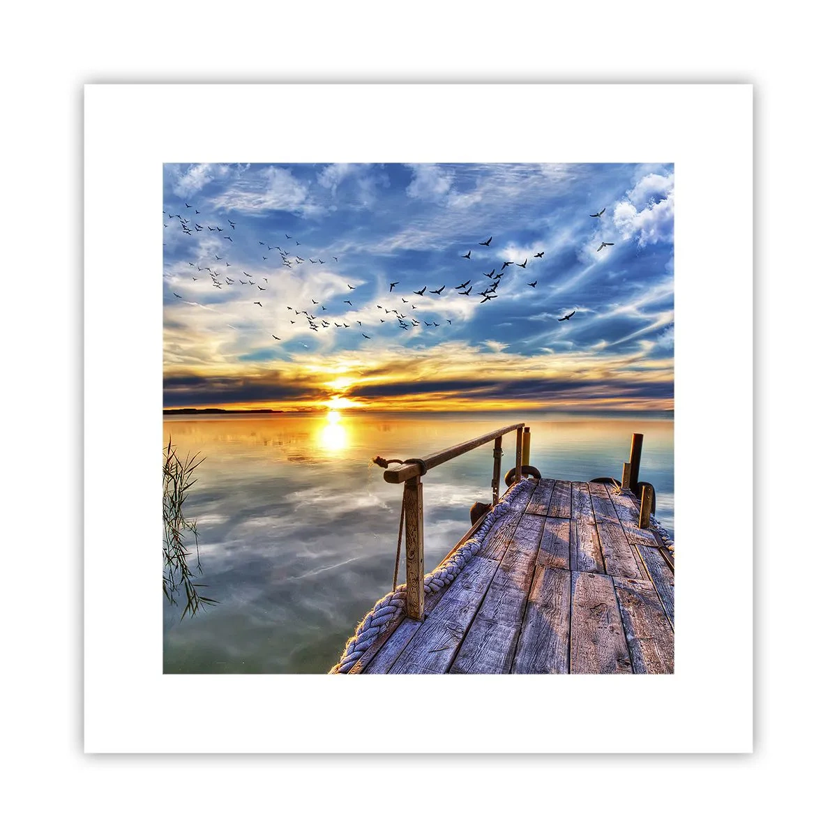 Affiche - Poster - Le vent se repose - 30x30 cm