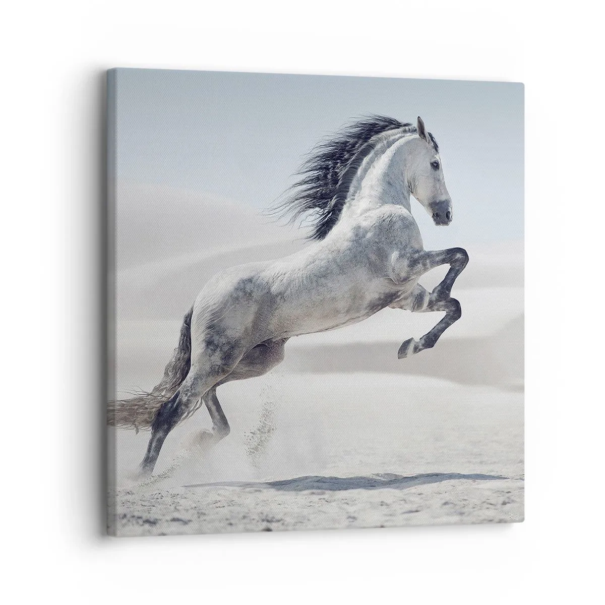 Impression sur toile - Image sur toile - Prince arabe - 30x30 cm