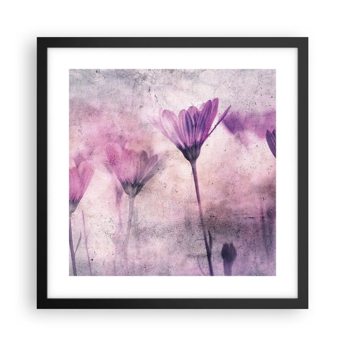 Affiche dans un cadre noir - Poster - Rêve de fleurs - 40x40 cm