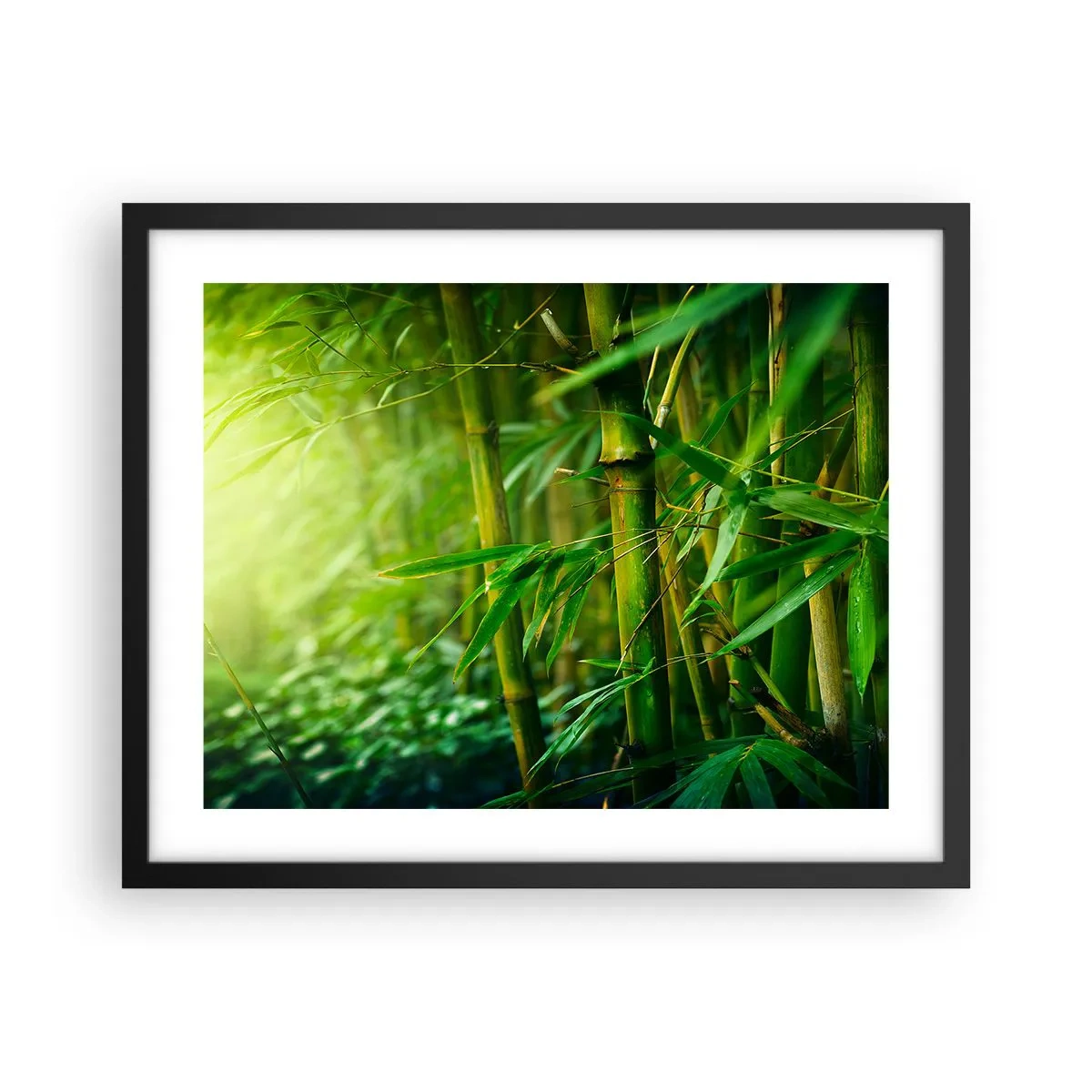 Affiche dans un cadre noir - Poster - Apprenez à connaître le vert lui-même - 50x40 cm