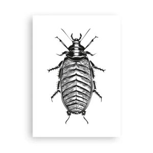 Affiche - Poster - Illustration en noir et blanc d'un insecte dans un style de vente au détail - 50x70cm - Quel spécimen! - Décoration murale moderne pour le salon et la chambre ARTTOR