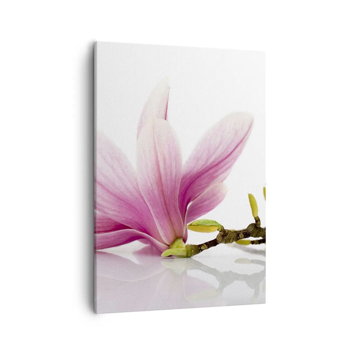 Impression sur toile - Image sur toile - Magnolias roses délicats sur fond blanc - 50x70cm - Délicat comme une brise de printemps - Décoration murale moderne pour le salon et la chambre ARTTOR