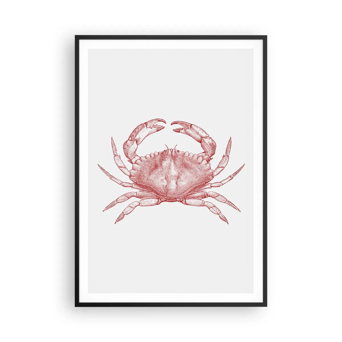 Affiche dans un cadre noir - Poster - Le crabe des crabes - 70x100 cm