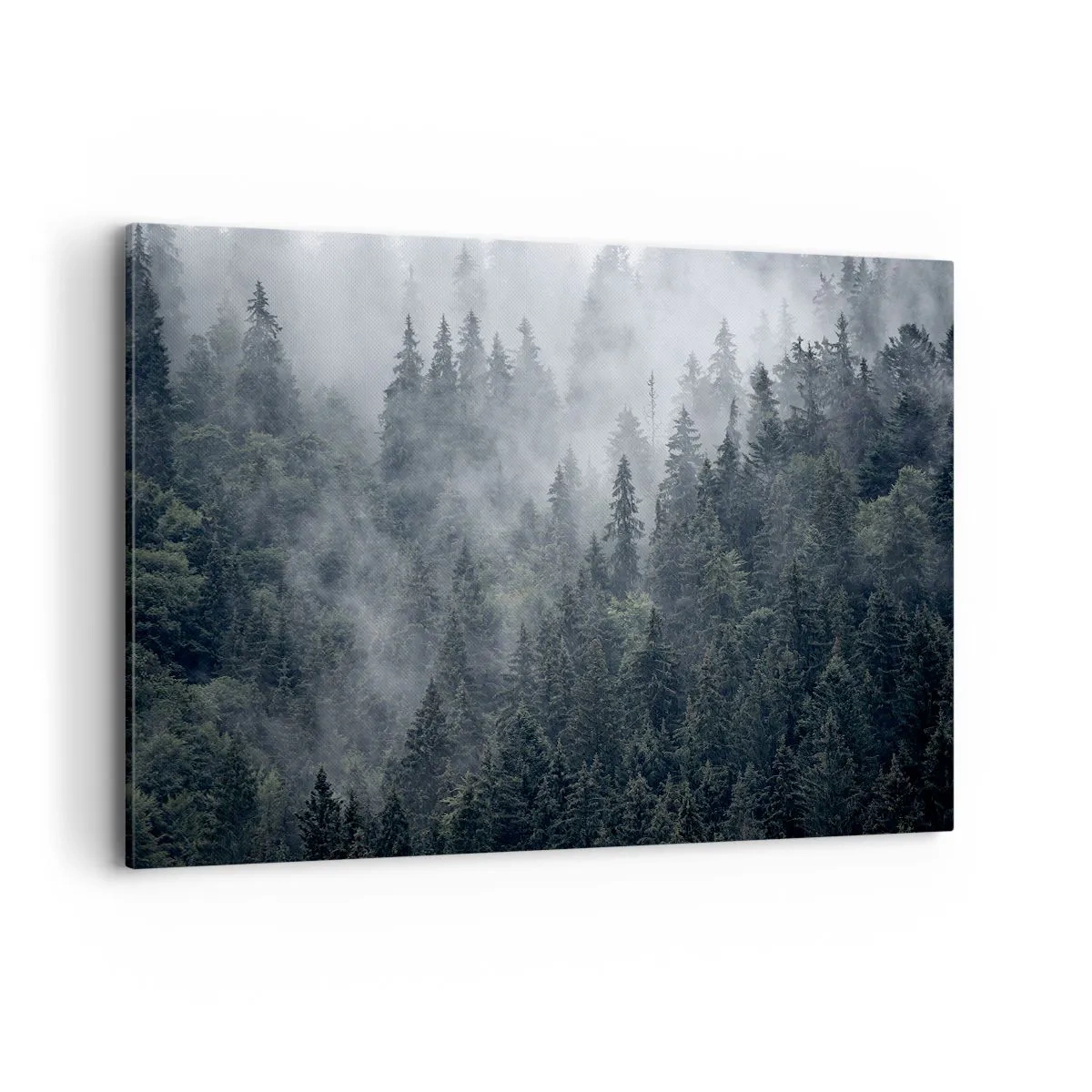 Impression sur toile - Image sur toile - Forêt de conifères brumeuse aux tons gris et verts - 120x80cm - Aube de la forêt - Décoration murale moderne pour le salon et la chambre ARTTOR