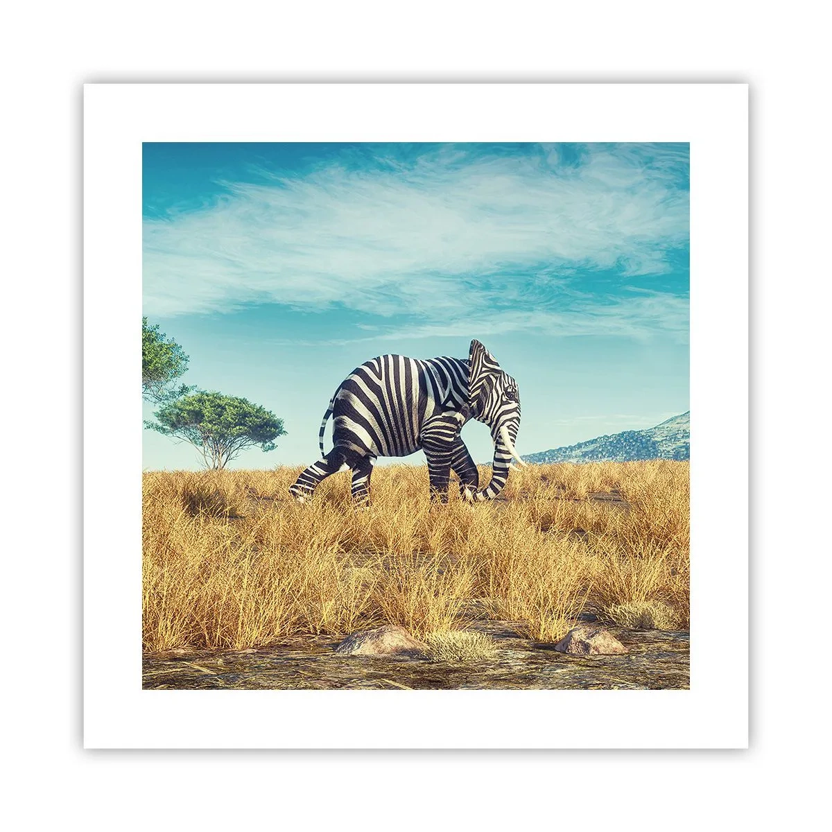 Affiche - Poster - Le gris n'est déjà plus à la mode - 40x40 cm