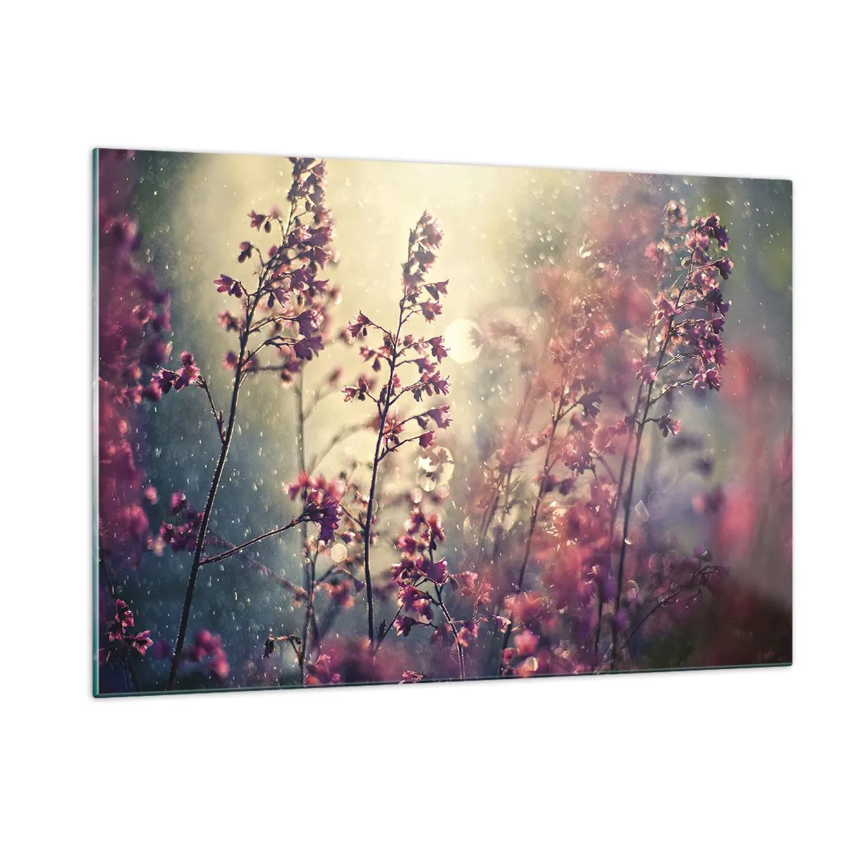 Impression sur verre - Image sur verre - Fleurs au soleil sous la douce pluie - 120x80cm - Jardin secret - Décoration murale moderne pour le salon et la chambre ARTTOR
