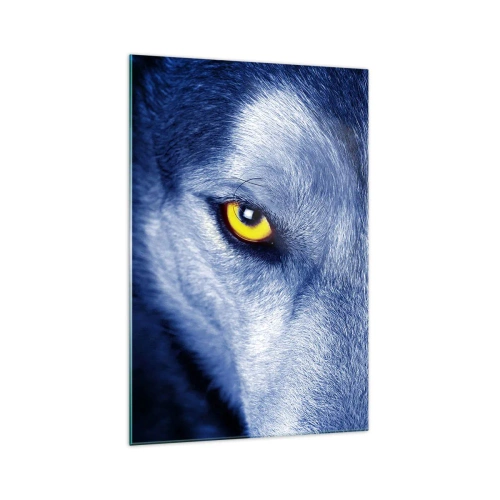 Impression sur verre - Image sur verre - Gros plan du regard intense d'un loup sur un fond sombre - 70x100cm - Regars hypnotique - Décoration murale moderne pour le salon et la chambre ARTTOR