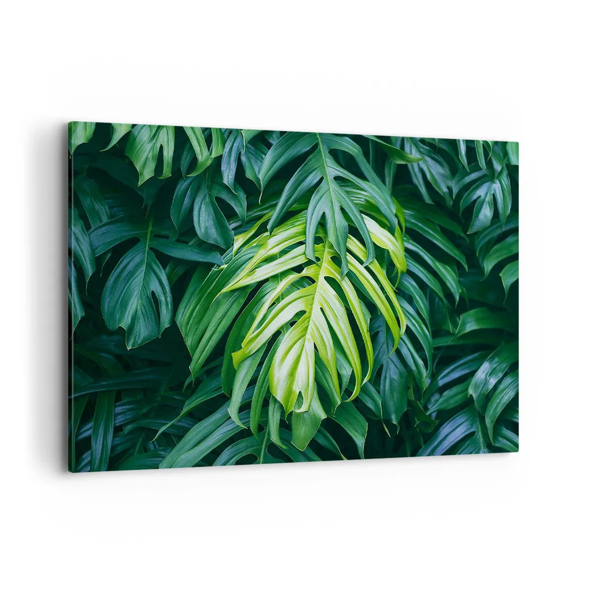 Impression sur toile - Image sur toile - Feuilles vertes dans un arrangement tropical dense - 100x70cm - Immergez-vous dans la fraîcheur - Décoration murale moderne pour le salon et la chambre ARTTOR