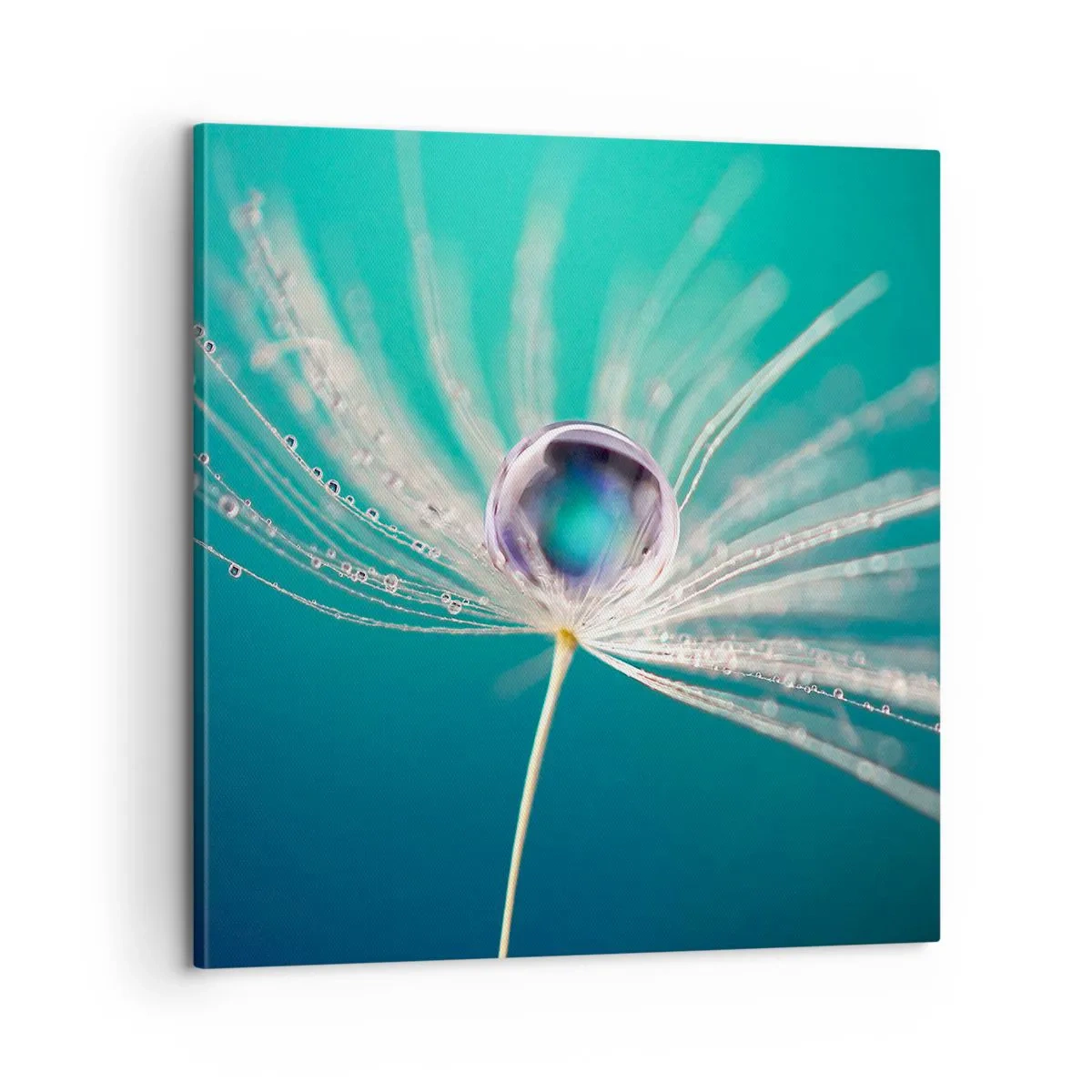 Impression sur toile - Image sur toile - Moment mystique - 60x60 cm
