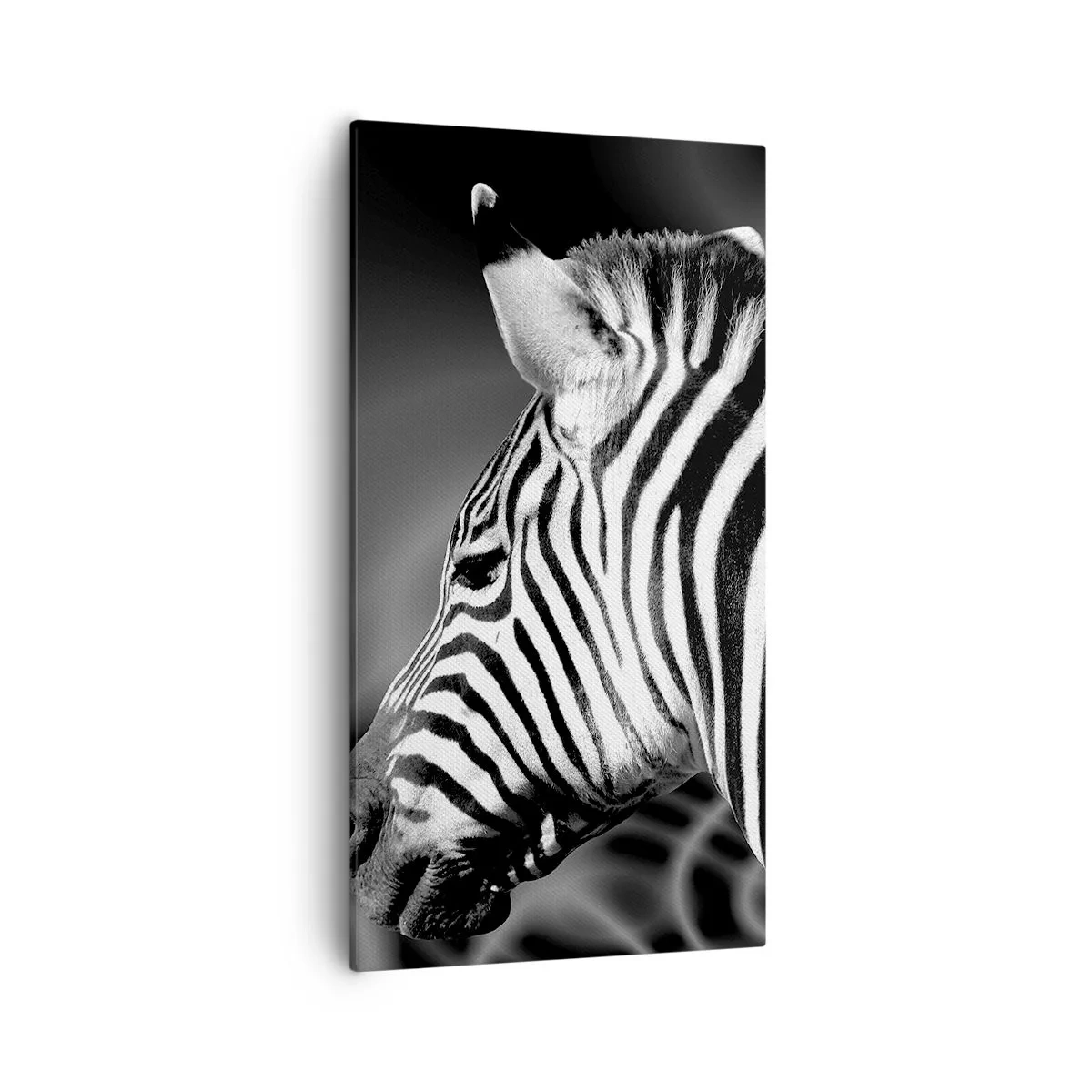 Impression sur toile - Image sur toile - Blanc c'est blanc et noir c'est noir - 55x100 cm