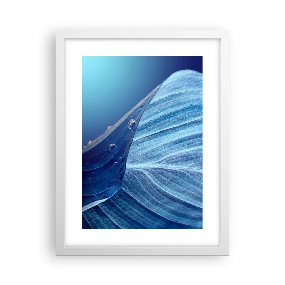 Affiche dans un cadre blanc - Poster - Gouttes cachées du bleu - 30x40 cm