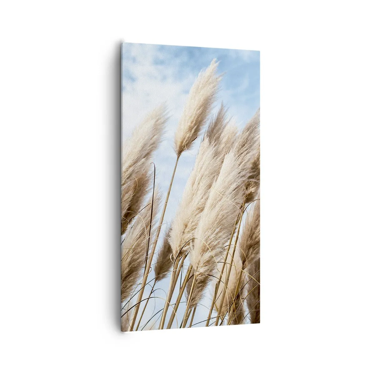 Impression sur toile - Image sur toile - Caresse ensoleillée et venteuse - 65x120 cm