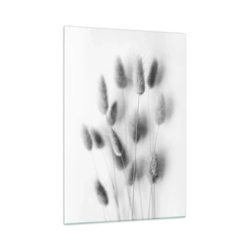 Impression sur verre - Image sur verre - Graminées délicates dans des tons de gris sur fond blanc - 70x100cm - Son herbe duveteuse - Décoration murale moderne pour le salon et la chambre ARTTOR