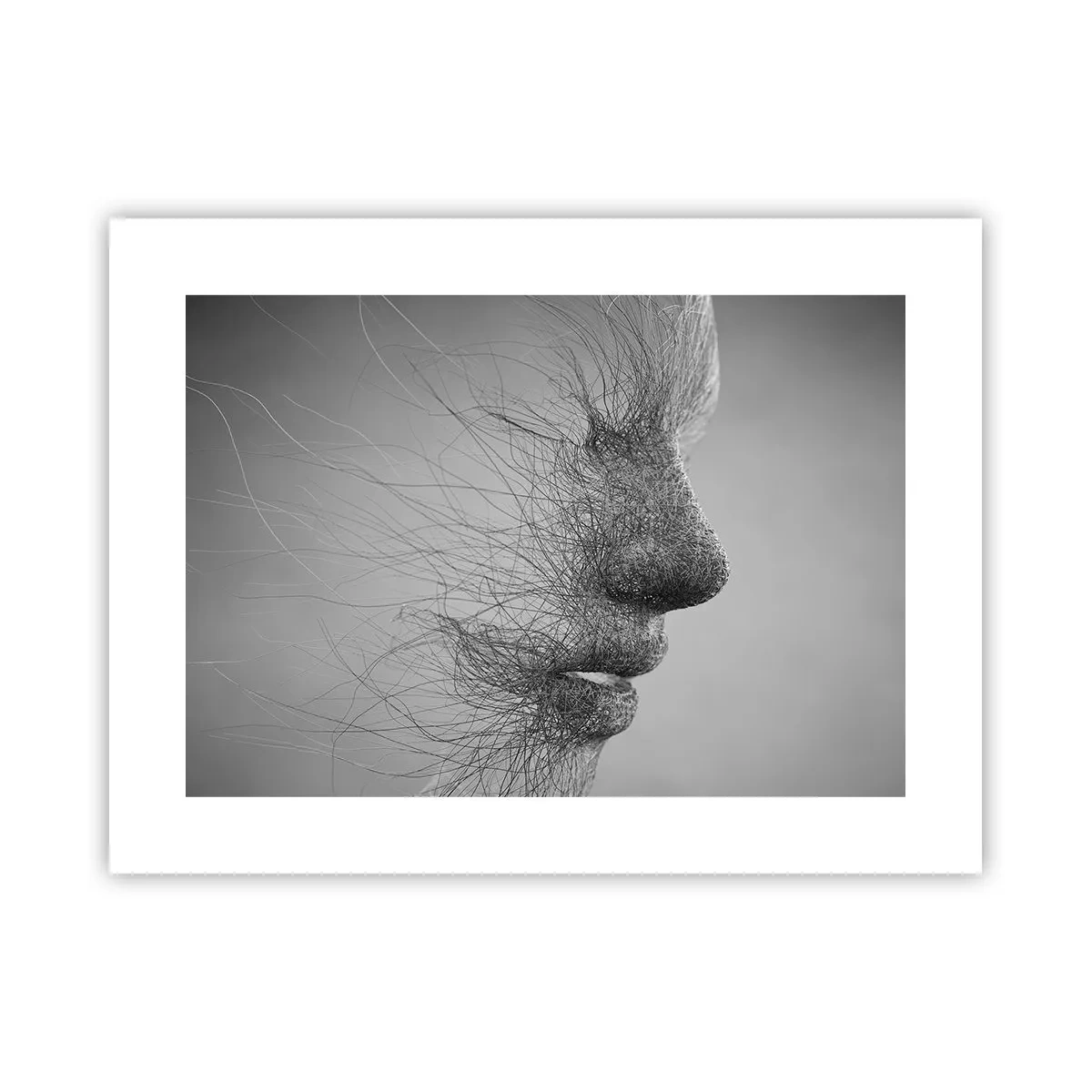 Affiche - Poster - L'esprit du vent - 40x30 cm