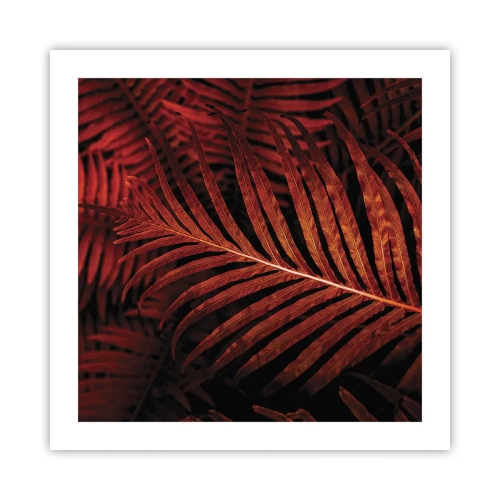 Affiche - Poster - Chaleur de la vie - 50x50 cm