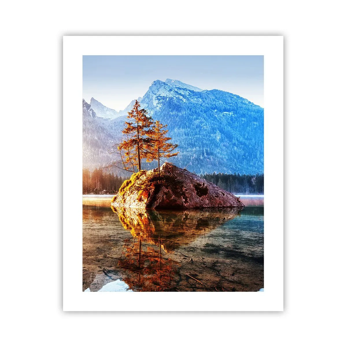 Affiche - Poster - La nature sous un nouveau jour - 40x50 cm
