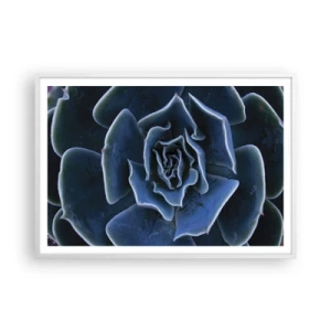 Affiche dans un cadre blanc - Poster - Fleur du désert - 100x70 cm