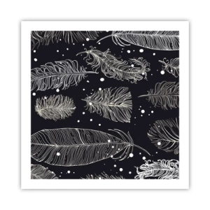 Affiche - Poster - Toile de plumes - 60x60 cm