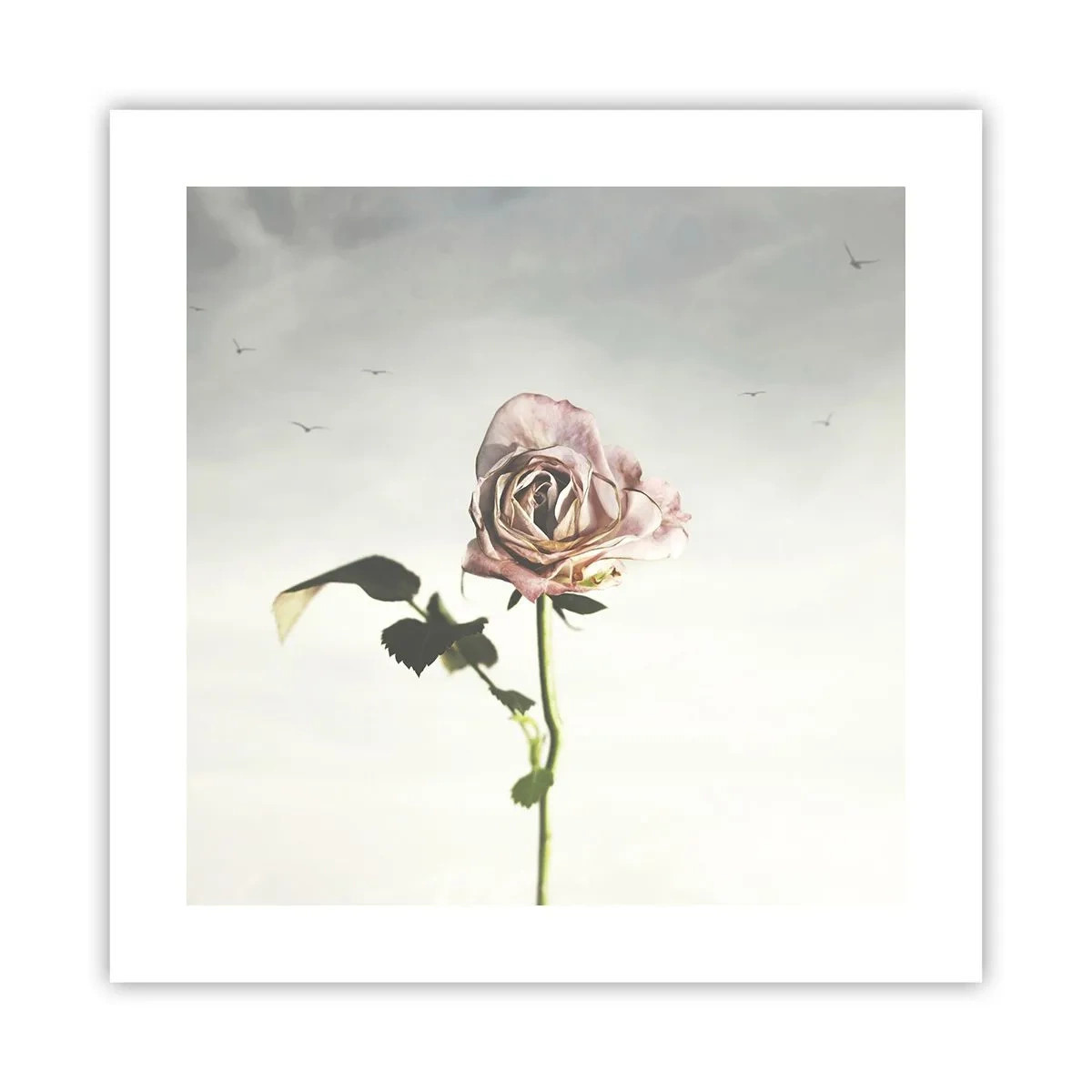 Affiche - Poster - Bonjour de printemps - 40x40 cm