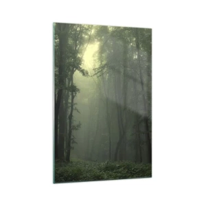 Impression sur verre - Image sur verre - Une forêt verte le matin enveloppée d'un brouillard délicat - 70x100cm - Avant qu'il ne se réveille - Décoration murale moderne pour le salon et la chambre ARTTOR