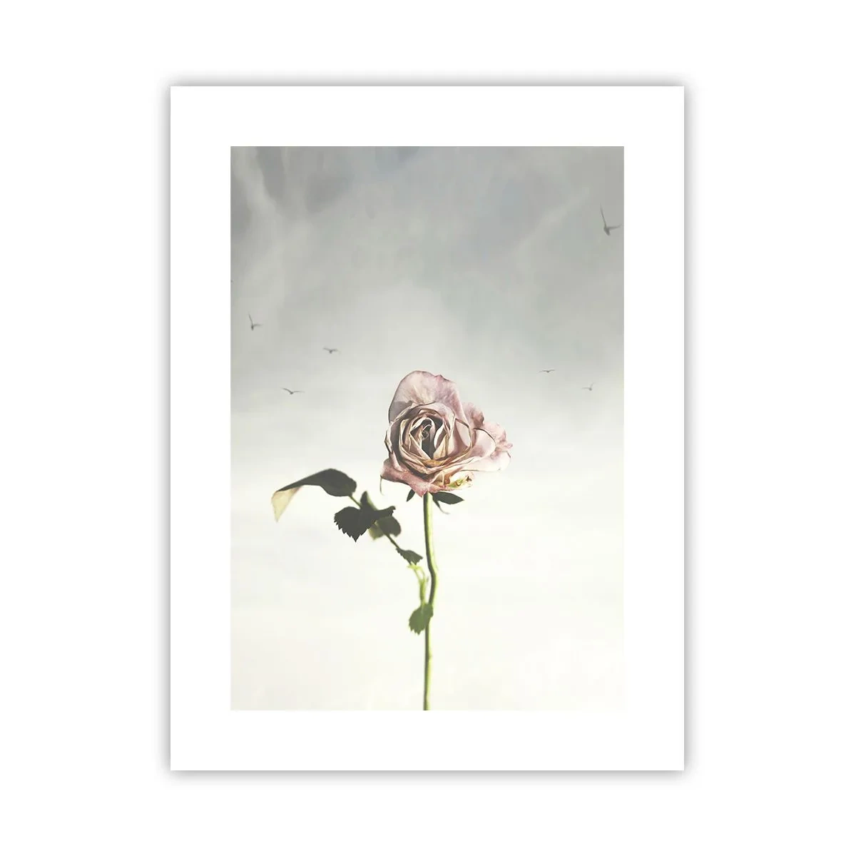 Affiche - Poster - Bonjour de printemps - 30x40 cm