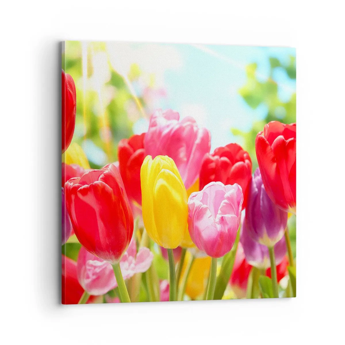 Impression sur toile - Image sur toile - C'est nous, les couleurs de Mai! - 70x70 cm