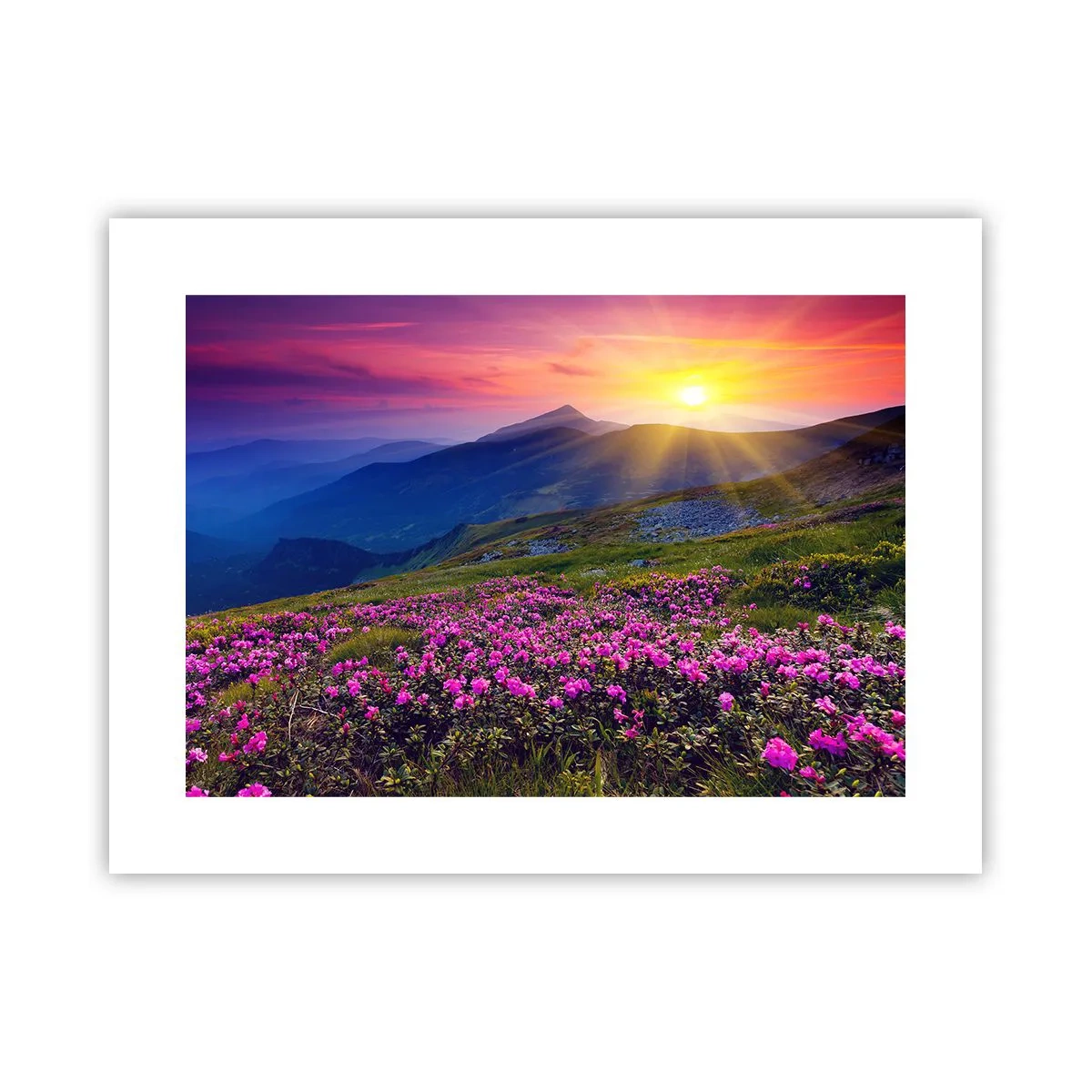 Affiche - Poster - … Et autour, ça sent le pin des montagnes et l'odeur de la prairie - 40x30 cm