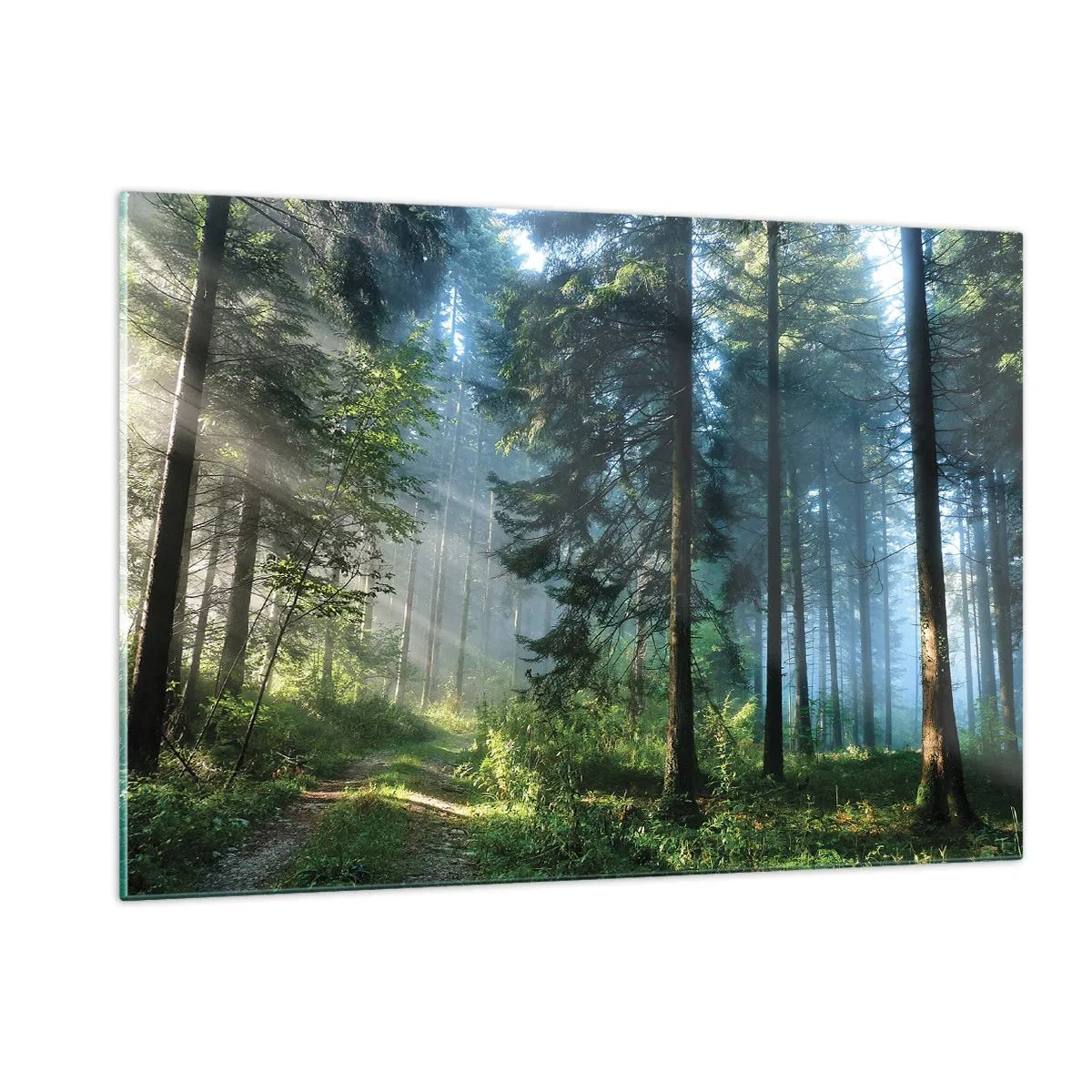Impression sur verre - Image sur verre - Un chemin forestier dans la brume matinale parmi de grands arbres - 120x80cm - Rayonnant le matin - Décoration murale moderne pour le salon et la chambre ARTTOR
